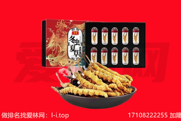 娄底双峰县回收虫草.jpg